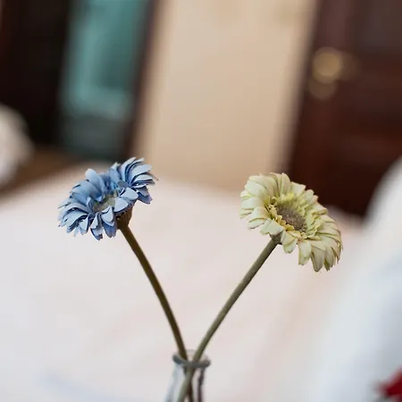 Sultanahmet Cesme 3* Стамбул