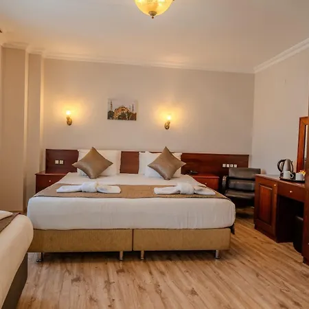Отель Sultanahmet Cesme 3*